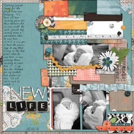 New_Life2.jpg