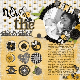 NewbeeintheHiveweb.jpg