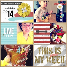 PL-2014-Week14-Page1SMALL.jpg