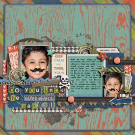 Silly-Mustache1.jpg