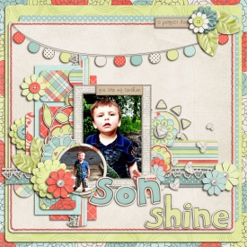Son-Shine1.jpg