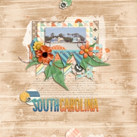 South-Carolina.jpg