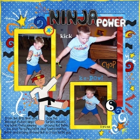 TR-Ninja-Power.jpg