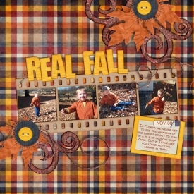 TR-Real-Fall.jpg
