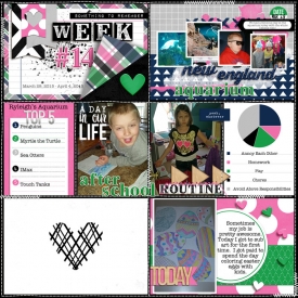 Week-14-Page-1Gallery.jpg