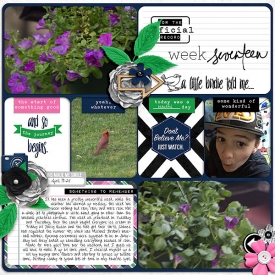 Week-17-Left1.jpg