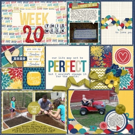 Week-20-Page-1.jpg