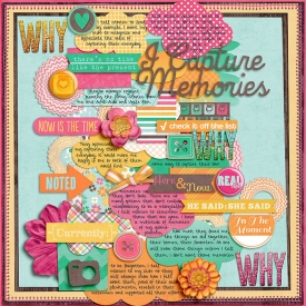 Why-I-Scrapbook2_700s.jpg