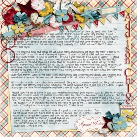 birthstoryweb.jpg