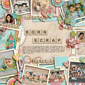 born2scrap.jpg