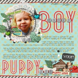 boyorpuppy.jpg
