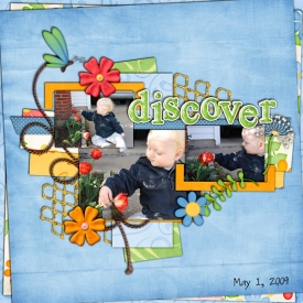 discover5.jpg