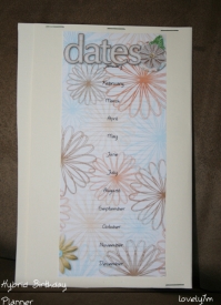 hybrid_birthday_planner.jpg