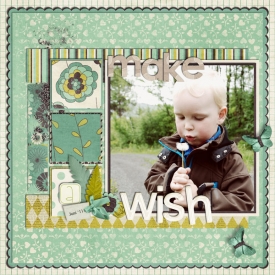makeawishjuni11600.jpg