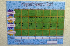 maygansrewardchart.jpg