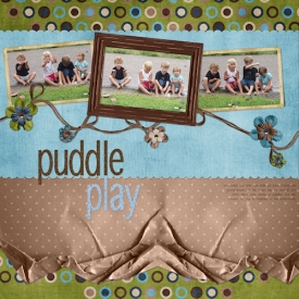 mudpuddles1.jpg