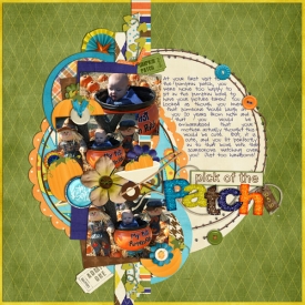 patch2010p3.jpg