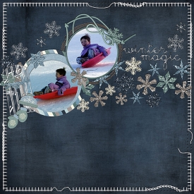 scottsled07_web.jpg