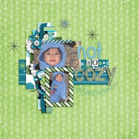 snowsuit22008web.jpg