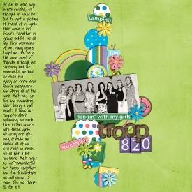 troop820web.jpg