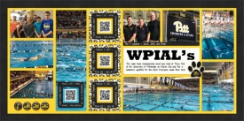 web_djp332_2017_09_March3_WPIALs_SwL_3_17MIRTemplate.jpg