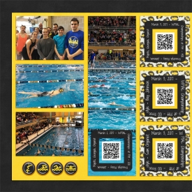 web_djp332_2017_09_March3_WPIALs_SwL_3_17MIRTemplate_left.jpg