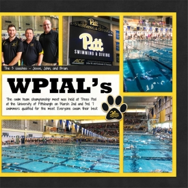 web_djp332_2017_09_March3_WPIALs_SwL_3_17MIRTemplate_right.jpg