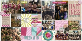 week_15_copy.jpg