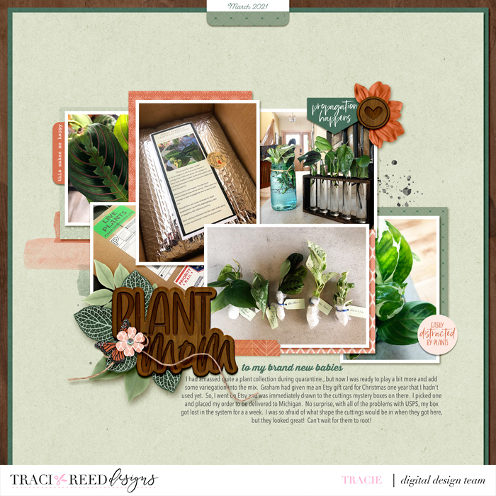 tracie_rootedTRD