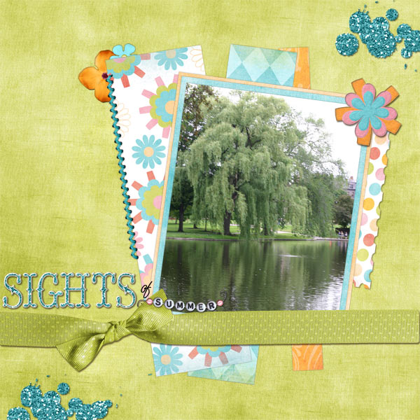 treed_wishonarainbow