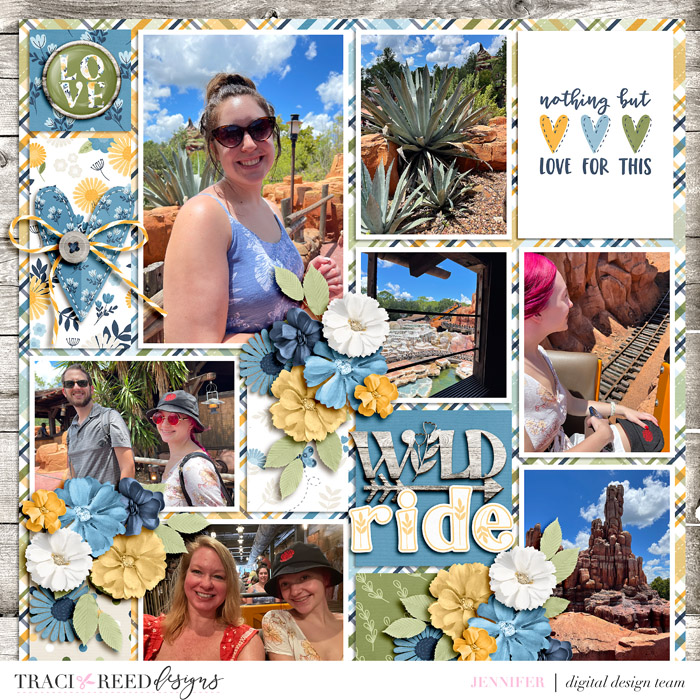 wild_ride_ssd