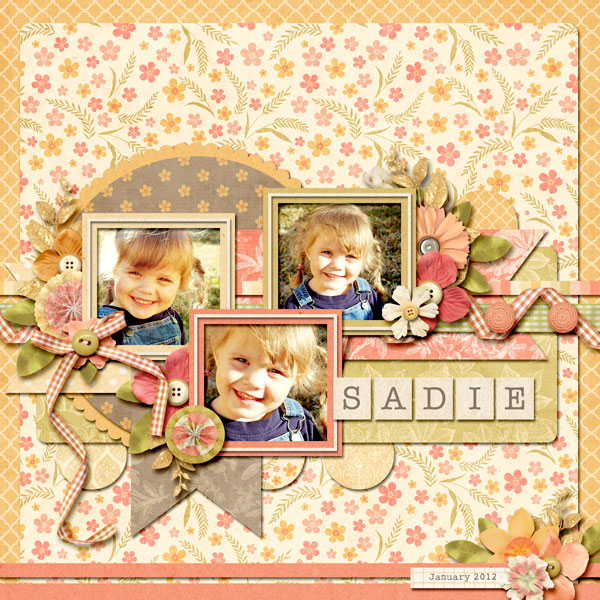 1-20-12a-web1