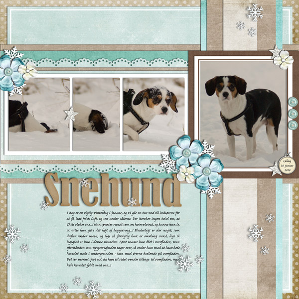 100130---Snehund