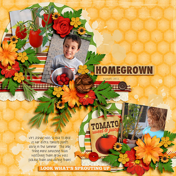 1108-JGM-MDM-Homegrown2