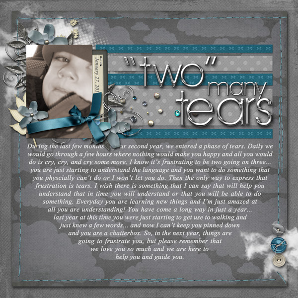 2010_01_27-two-many-tears
