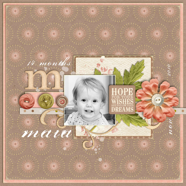 2010_11_maia_WEB