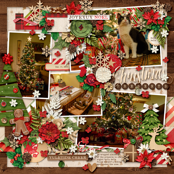 2013-12-17_ChristmasPresents_Holly_WEB
