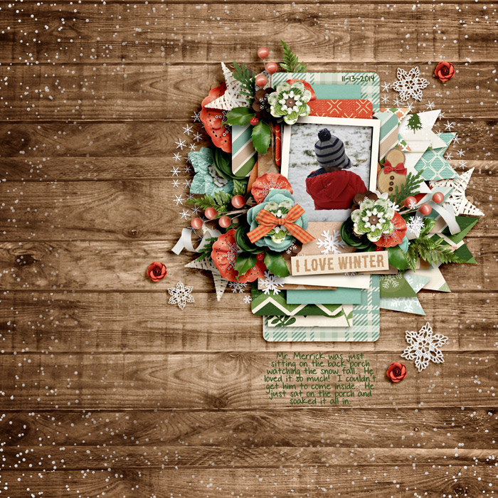 2014-11-13-I-Love-Winter