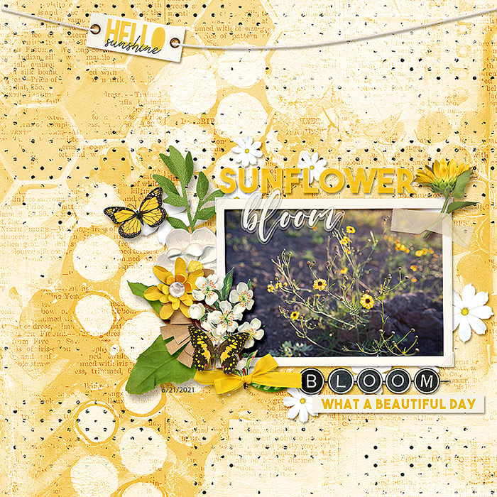 2021-06-21-sunflowerbloom_sm