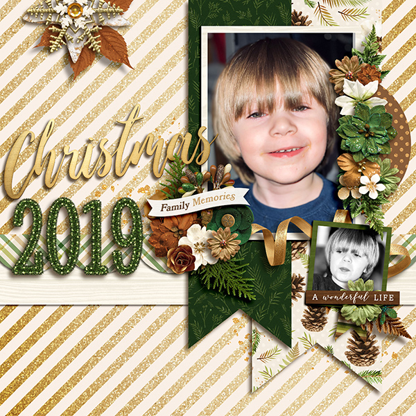 2512-MFish_WintersWonders_01