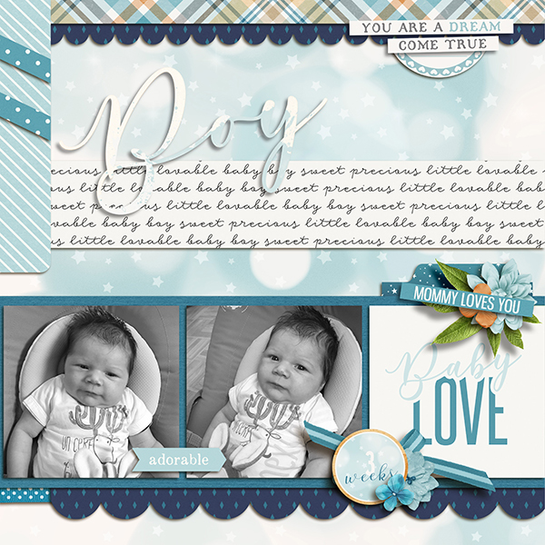 2908-Mfish_PictureThis3_01right