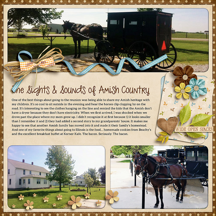 5-amish