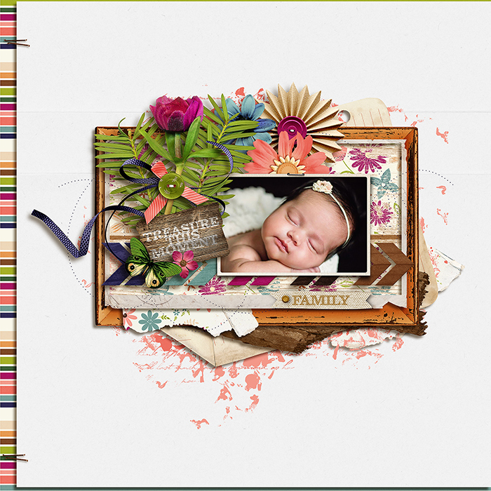 700newborncallie1
