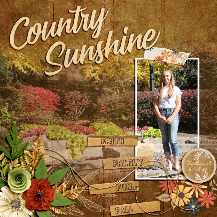 8-30_Country_Sunshine_700_x_700_