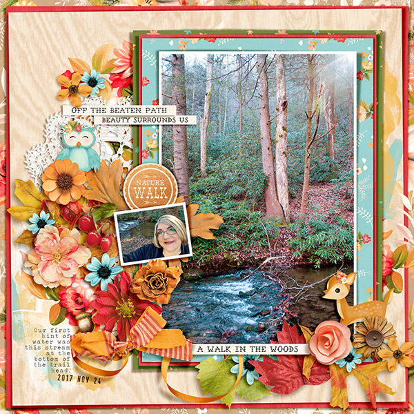 AWalkInTheWoods_Cheryl_11-24-17