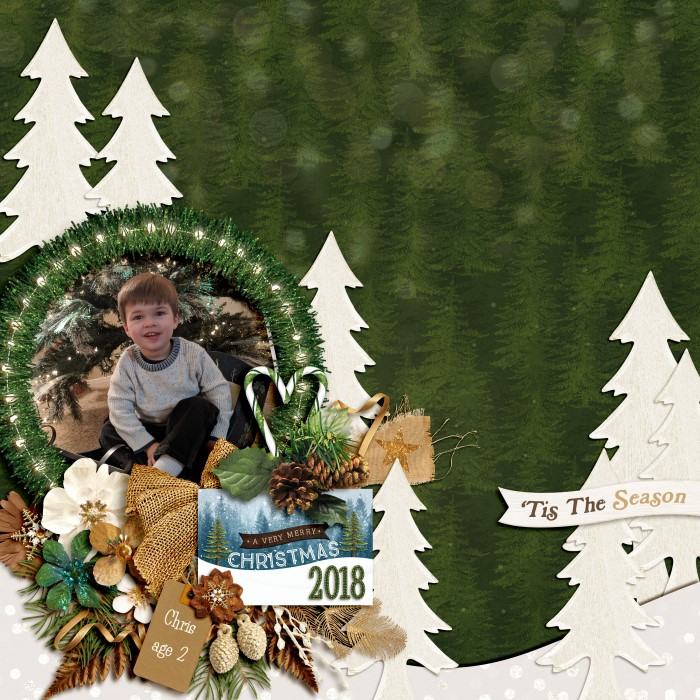 A_Woodland_Christmas_-_Evergreen_Dreams_700_x_700_