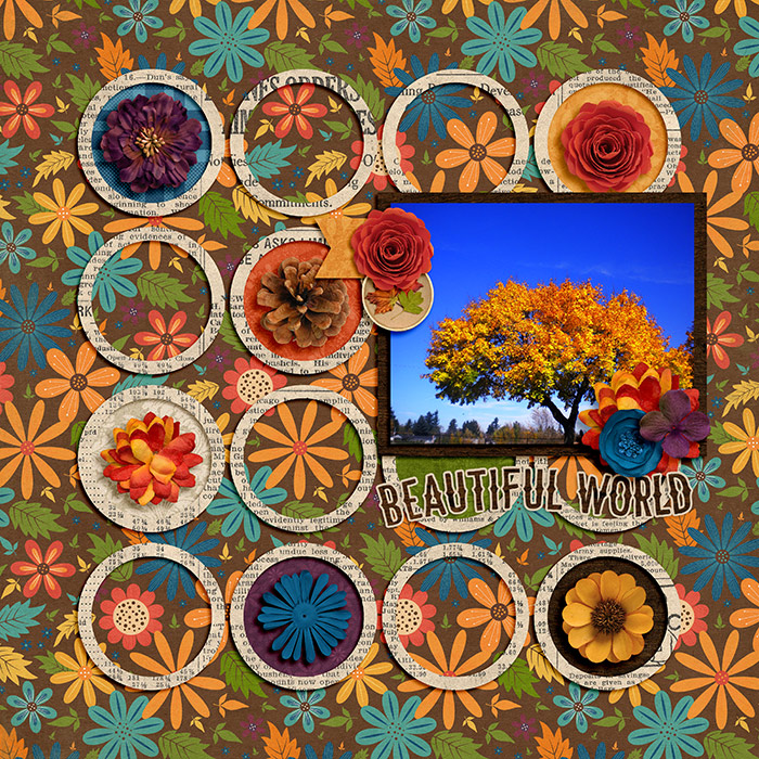 Beautiful-World