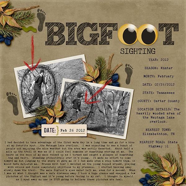 Bigfoot-Sighting