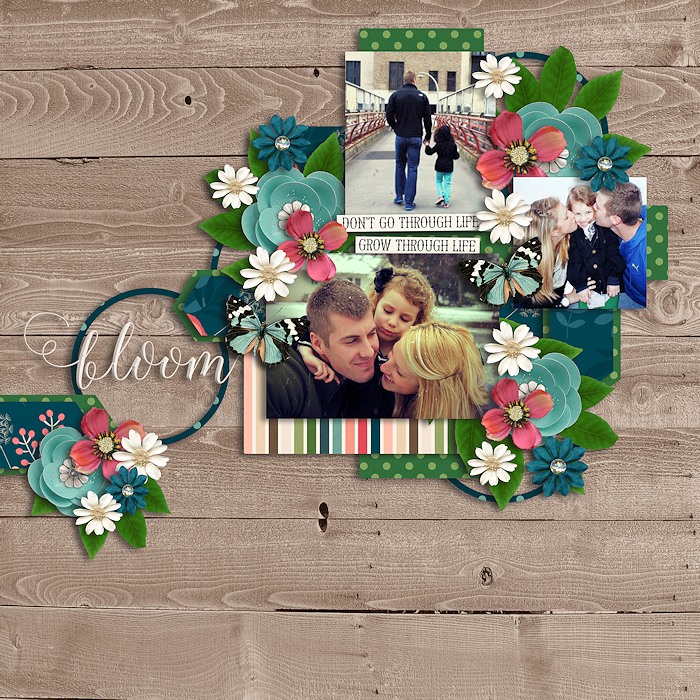 Blossom_KCB_and_make_it_three_dagi