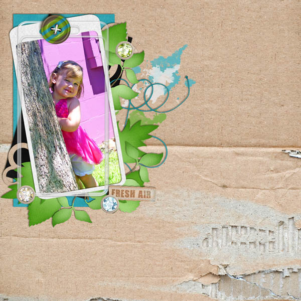 CT_KCB_photoswap